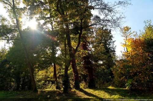 Bois de Vincennes