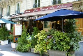 Les cèdres du Liban