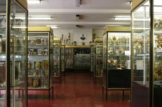 Musée Dupuytren