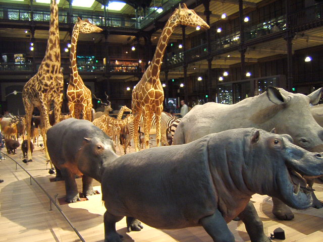 Muséum National d'histoire naturelle